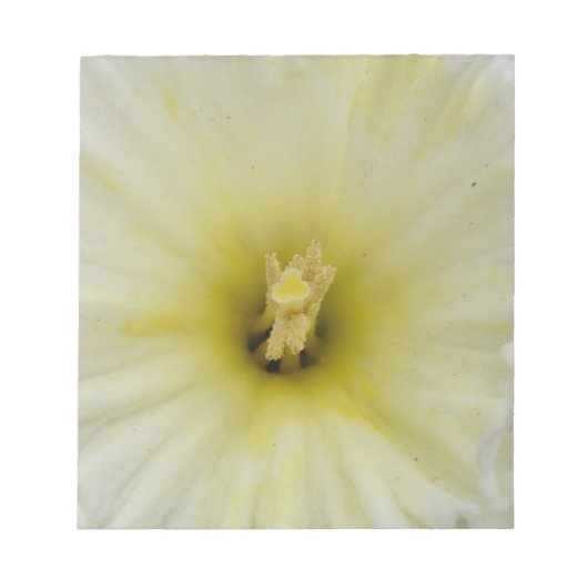 Daffodil かわいらし Daffodil淡い色のメモ帳 ノートパッド (正面)