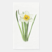 Daffodil+Botanical+Spring+Flower+Yellow+and+White (正面)