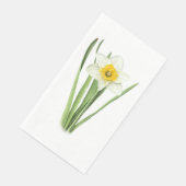 Daffodil+Botanical+Spring+Flower+Yellow+and+White (コーナー)