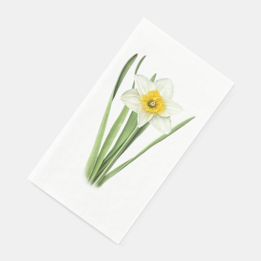 Daffodil+Botanical+Spring+Flower+Yellow+and+White (コーナー)
