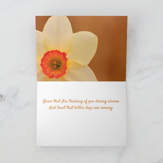 Daffodil Chemoがんサポート カード (内部)