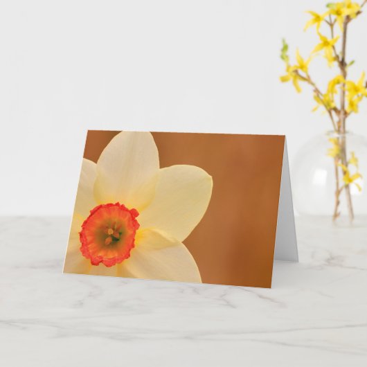 Daffodil Chemoがんサポート カード (黄色い花)