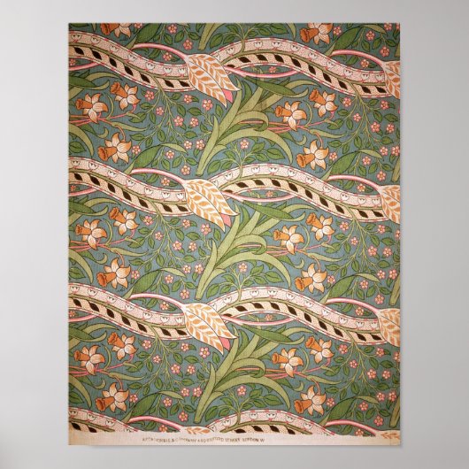 Daffodil Chintz', 1875 ポスター (正面)