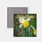 Daffodil & Easter wishes マグネット (正面/裏面)
