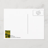 Daffodil Family 考え'S Of Youはがき ポストカード (裏面)