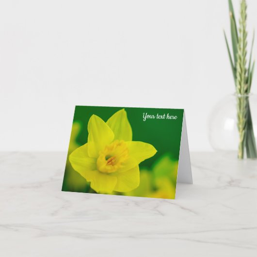 Daffodil Greeting Card サンキューカード (正面)
