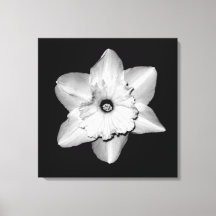 「Daffodil Portrait」ラッピングキャンバスプリント