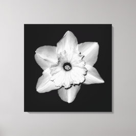 「Daffodil Portrait」ラッピングキャンバスプリント キャンバスプリント