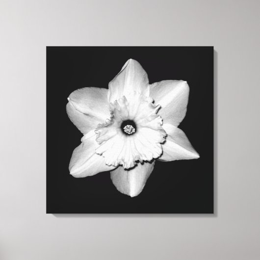 「Daffodil Portrait」ラッピングキャンバスプリント キャンバスプリント (正面)
