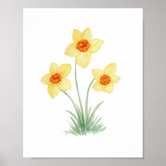 Daffodil Spring Flower Painting Garden ポスター (正面)