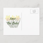 Daffodil Trio日付の保存 案内ポストカード (裏面)