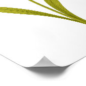 Daffodil — Unequaled love, sunshine ポスター (角)