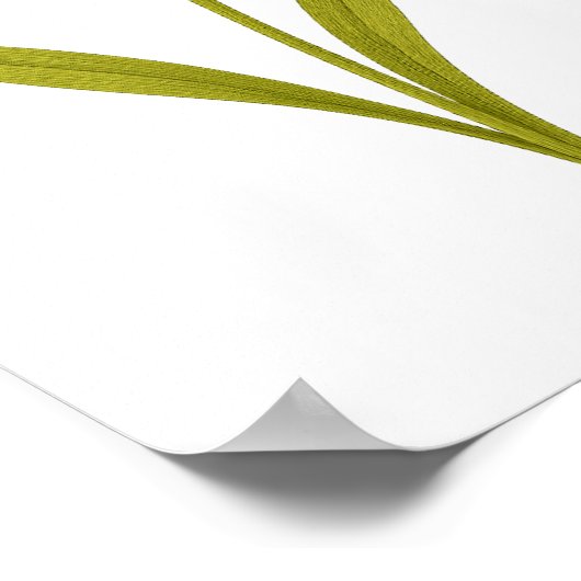 Daffodil — Unequaled love, sunshine ポスター (角)