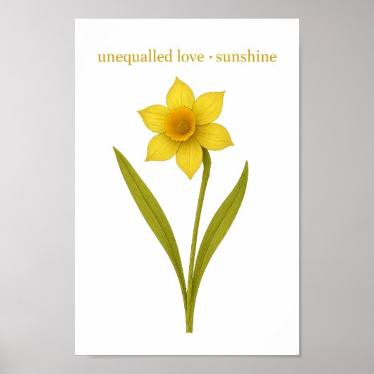 Daffodil — Unequaled love, sunshine ポスター (正面)