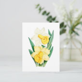 Daffodil Vintage Botanical Postcard ポストカード (スタンド正面)