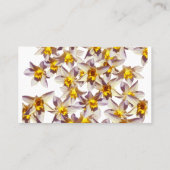 Daffodilsビジネスエレガントカード 名刺 (裏面)