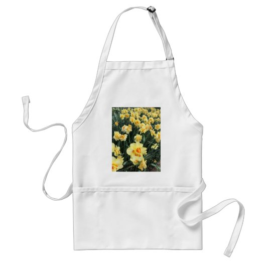 Daffodils写真 スタンダードエプロン (正面)