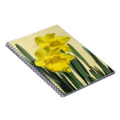 Daffodils – ノートブック (右側)