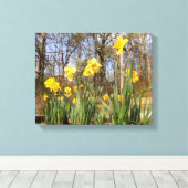 Daffodils at Easter Canvas Print キャンバスプリント (インサイチュ (ウッドフロア))