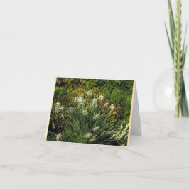 Daffodils at Stenton House Folded Note Card サンキューカード