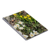 Daffodils & Crocusスパイラルノートブック ノートブック (右側)