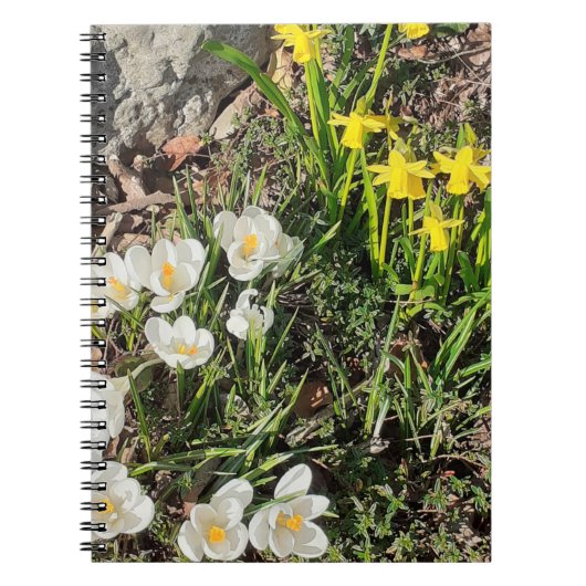 Daffodils & Crocusスパイラルノートブック ノートブック (正面)