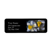 Daffodils Return Address Labels ラベル (正面)