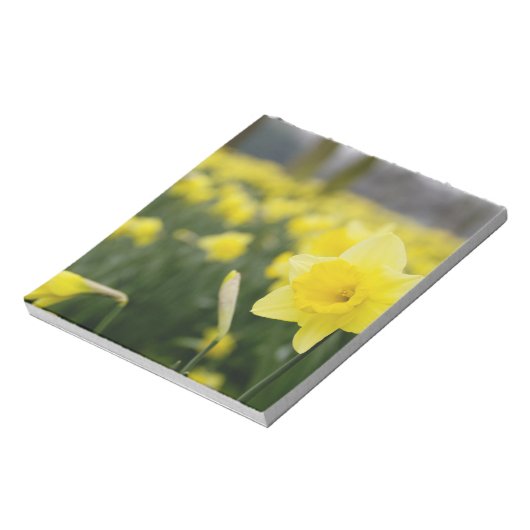 Daffodils(RF) ノートパッド (回転)