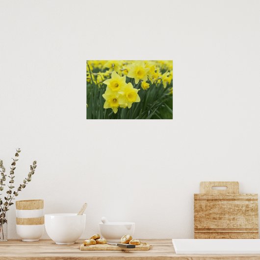 Daffodils RF) ポスター (キッチン)