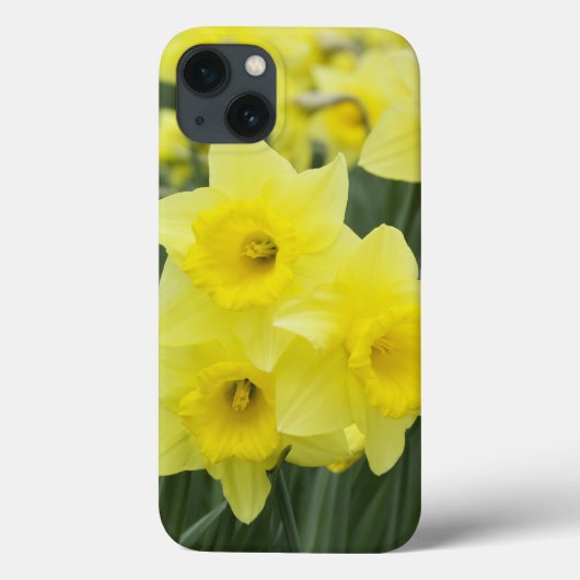 Daffodils RF) Case-Mate iPhoneケース (裏面)
