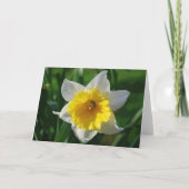 Daffodils Tic Tac Toe Greeting Card for Cancer Pat カード (裏面)