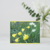 Daffodils White & Yellow Arctic Bells DIY Postcard シーズンポストカード (スタンド正面)