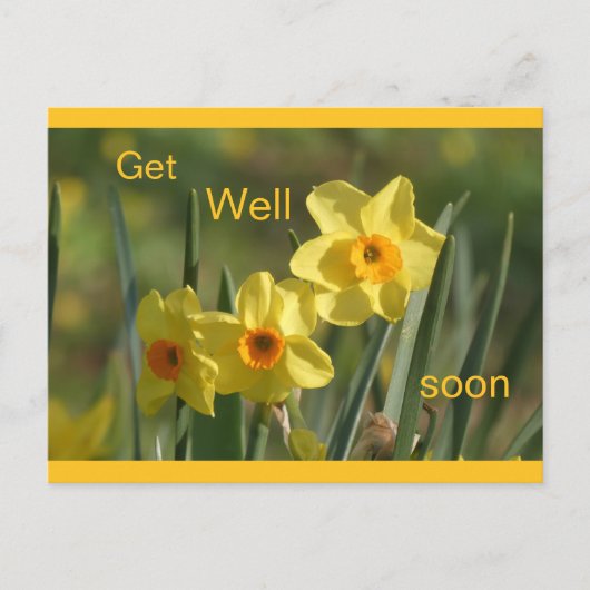 Daffodils Yellow Orange Cust. Get Well Postcard シーズンポストカード (正面)