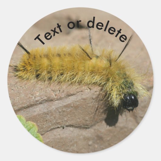 Dagger Moth Caterpillar Nature Personalized ラウンドシール (正面)