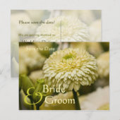 Dahlia ・日付ポストカードの保存 案内ポストカード (正面/裏面)