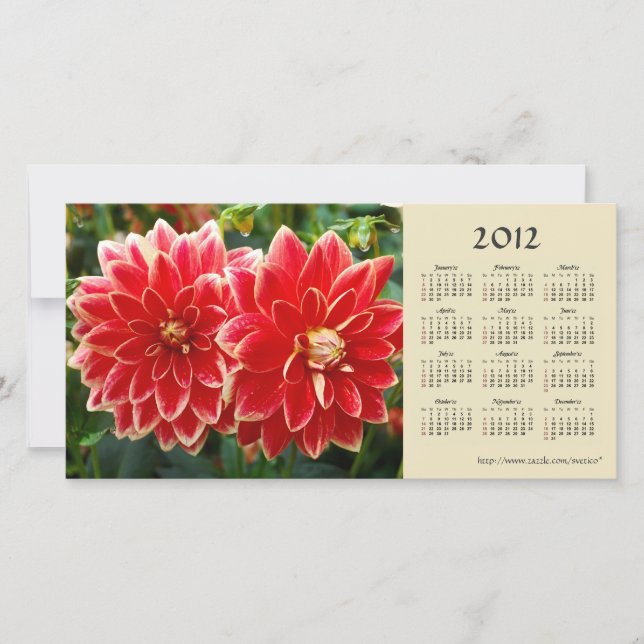 Dahlia 2012カレンダーフォトカード (正面)