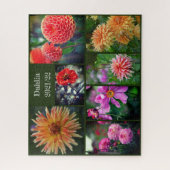 Dahlia Flowers Seven Photo Collage 520pc Jigsaw Pu ジグソーパズル (縦)