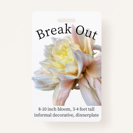 Dahlia IDバッジの解除 バッジ (正面)