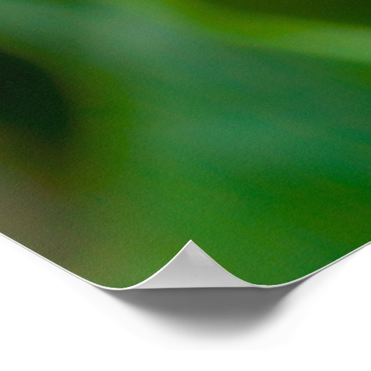 Dahlia Poster ポスター (角)