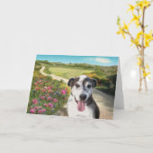 Dahliasのフィールドでパイ(パスカード上の空白の犬) カード (黄色い花)