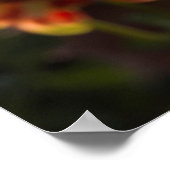 Dahlias、dahlia farm、Canby、オレゴン、アメリカ2 ポスター (角)