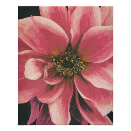 Dahlie フォトプリント