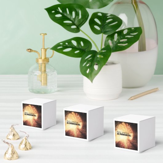 Daily Practice フェイバーボックス (複数)