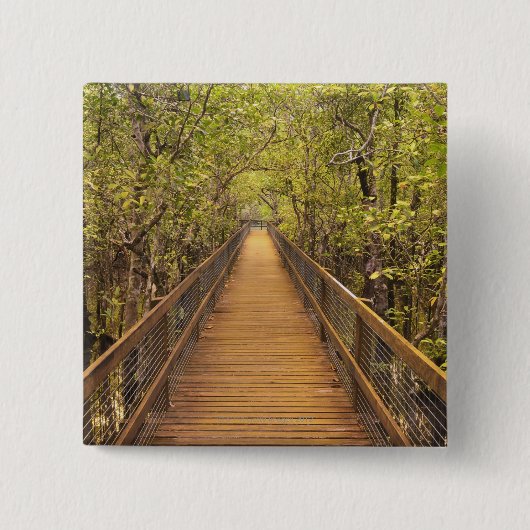 Daintreeの国立公園(ユネスコの世界遺産 缶バッジ (正面)