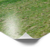 Dairy Cattle in the English Countryside フォトプリント (角)