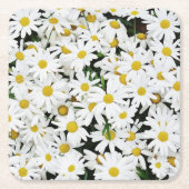 Daisies スクエアペーパーコースター (正面)