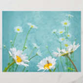 Daisies on a blue background (正面)