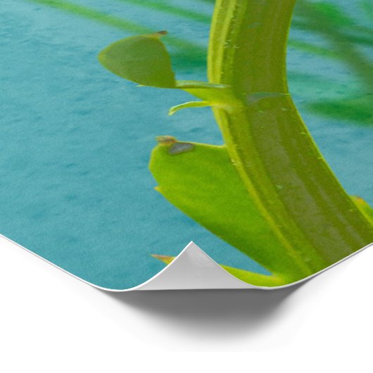 Daisies on a blue background ポスター (角)