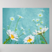 Daisies on a blue background ポスター (正面)