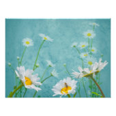 Daisies on a blue background ポスター (正面)